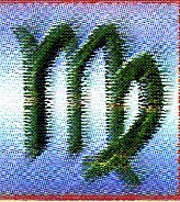 sz�z.jpg (24196 bytes)