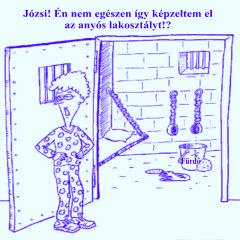 Anys 
lakosztly