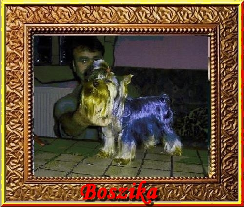 ez egy k�p