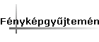 F�nyk�pgy�jtem�ny