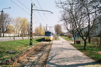 keepek/kiskep/62660006.jpg