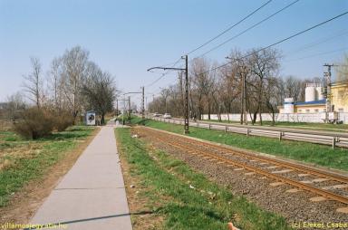 keepek/kiskep/62660008.jpg