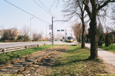 keepek/kiskep/62660011.jpg