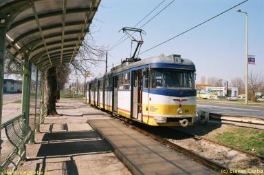 keepek/kiskep/62660013.jpg