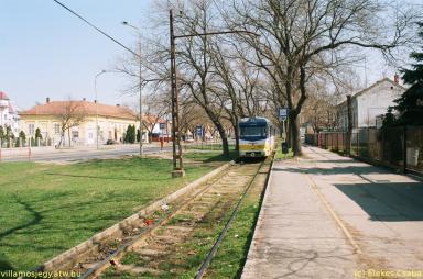 keepek/kiskep/62660015.jpg