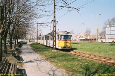 keepek/kiskep/62660021.jpg