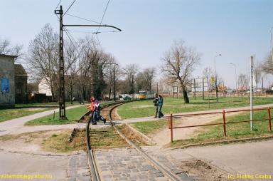 keepek/kiskep/62660023.jpg