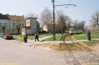 keepek/kiskep/62660024.jpg