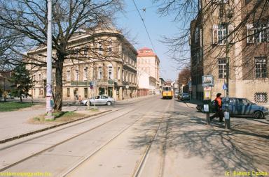 keepek/kiskep/62660031.jpg