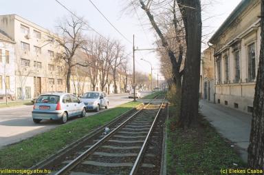 keepek/kiskep/62660039.jpg