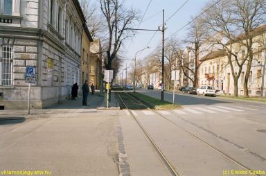 keepek/kiskep/62660044.jpg