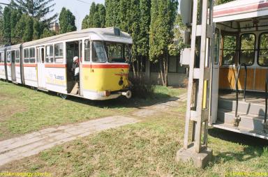 keepek/kiskep/62660062.jpg