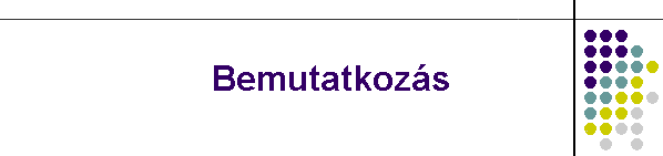 Bemutatkozs