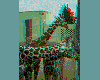 giraffea.gif