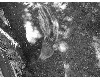 medvefarm_014.jpg
