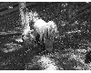 medvefarm_015.jpg