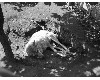 medvefarm_019.jpg