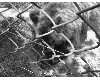 medvefarm_021.jpg