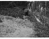 medvefarm_022.jpg