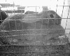 poto0025.jpg