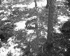 poto0028.jpg