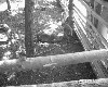 poto0029.jpg