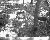 poto0030.jpg