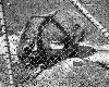 poto0042.jpg