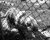 poto0044.jpg
