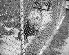 poto0045.jpg