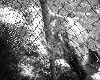 poto0046.jpg