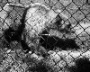 poto0049.jpg