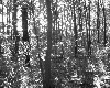 poto0054.jpg