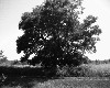 poto0055.jpg