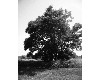 poto0056.jpg