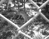 poto0060.jpg