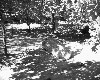 poto0063.jpg