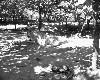 poto0064.jpg