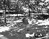 poto0065.jpg