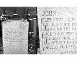 morbid22.jpg