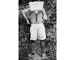 okorsegek30.jpg
