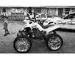 auto107.jpg