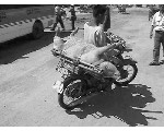auto130.jpg