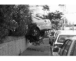 auto133.jpg