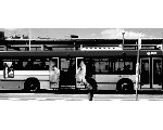 auto139.jpg