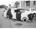 auto151.jpg