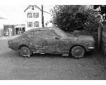 auto153.jpg