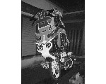 auto155.jpg
