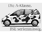 auto29.jpg