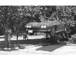 auto33.jpg